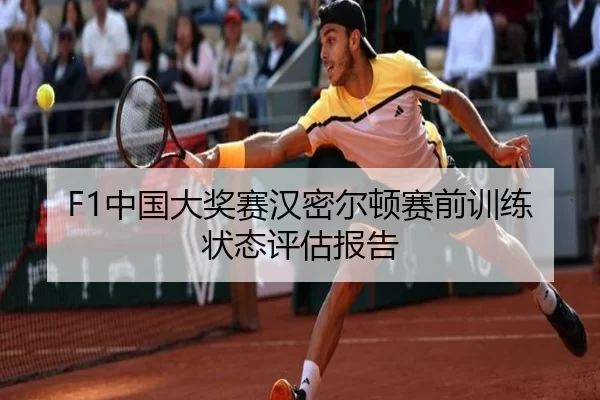 F1中国大奖赛汉密尔顿赛前训练状态评估报告
