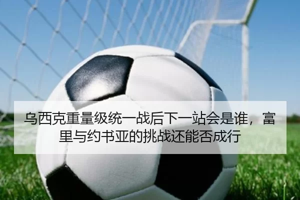 乌西克重量级统一战后下一站会是谁，富里与约书亚的挑战还能否成行